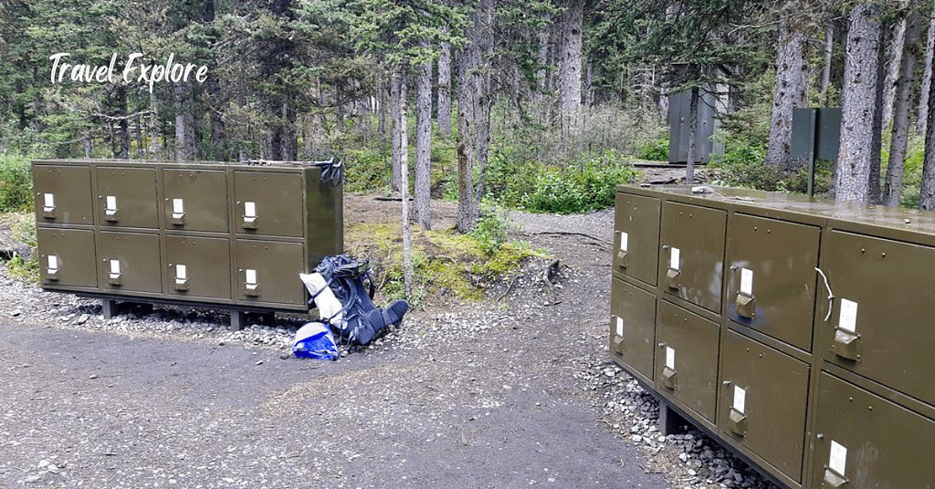 Bear-Proof Containers
